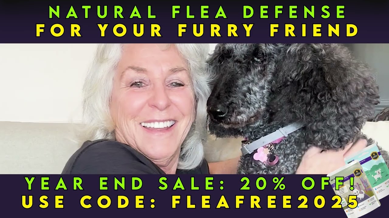 Year-End Sale: Exclusive Deals on Breezeedoo PURESHIELD Collars for Your Pets!🎊