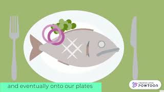 Plastics in the Ocean - Plastic Pollution Infographic