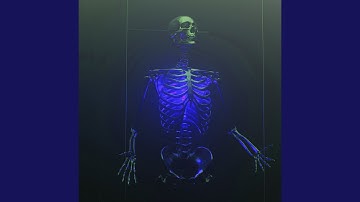 Did I Stutter? (Reversed Slowed & Reverb)