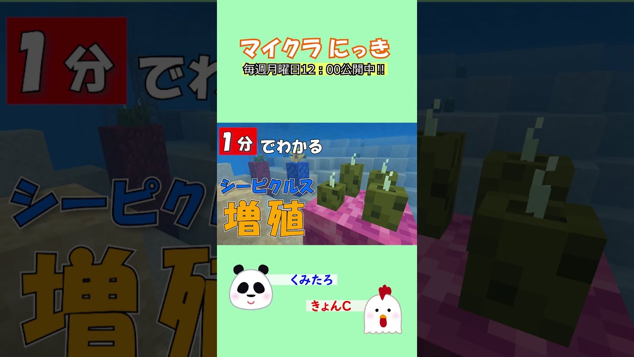 マイクラ 1分でわかる シーピクルス増殖方法 Shorts Youtube マイクラ 1分でわかる シーピクルス増殖方法 Shorts Youtube