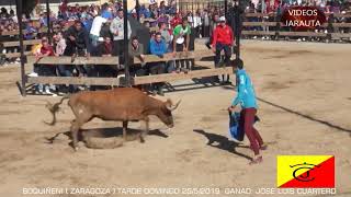 BOQUIÑENI  (ZARAGOZA)  TARDE VACAS EN LA PLAZA  (DOMINGO 26 MAYO 2019)  JOSE LUIS CUARTERO by VillarTauro 6,570 views 4 years ago 15 minutes