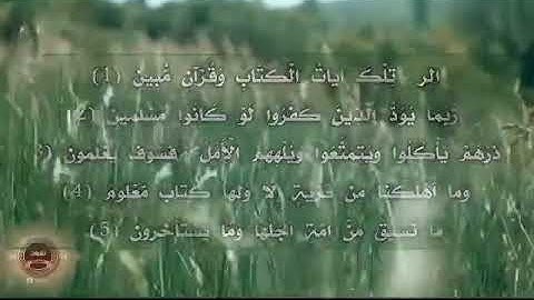 تلاوة سورة الفاتحه وما تيسر من سورة الحجر