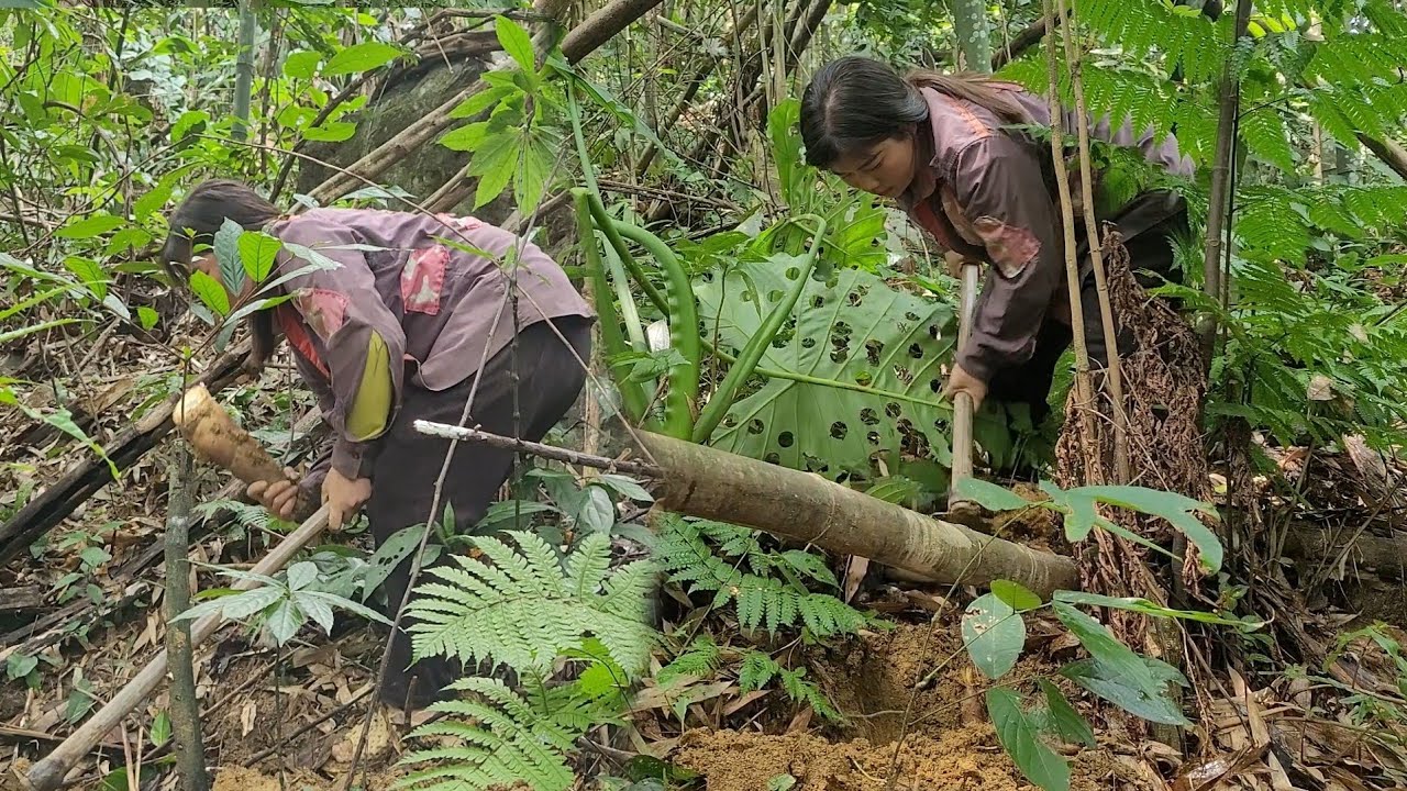 The girl went into the forest to find food to bring back for the day ...