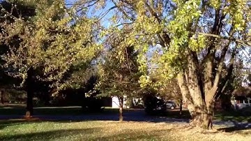 Nov 10, 2013