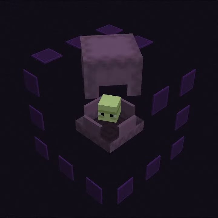 They added GAMECUBE to Minecraft