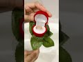 ROSE RING BOX
