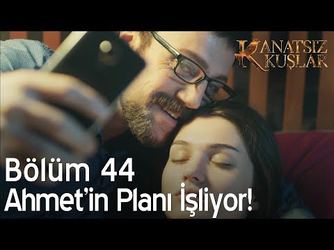 Kanatsız Kuşlar 44. Bölüm - Ahmet'in planı işliyor!