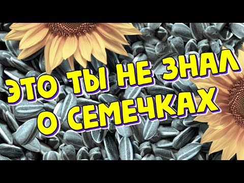 Неизвестные свойства семечек подсолнуха