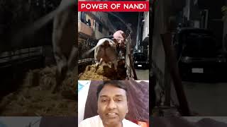 Power of NANDI