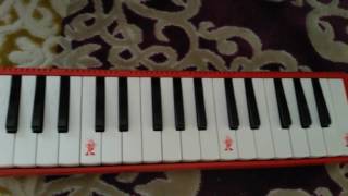 Melodikada Pırdino Çalma