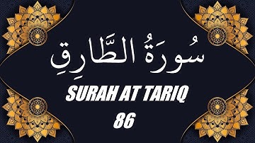 محمد الفقية - سورة الطارق (86)