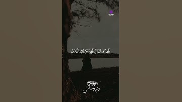 لحظات إيمانية مؤثرة جدًا مع تلاوة الشيخ أحمد كاسب 🌿