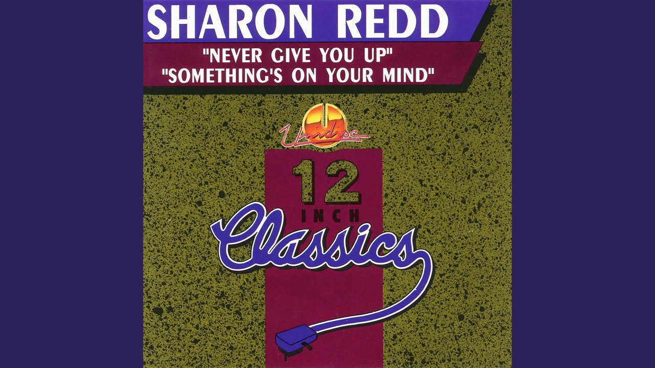 Sharon Redd / Never Give You Up | VINYL7 RECORDS