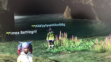 FF14 bots?