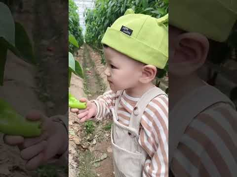 funny video 🤣🤪😱 #facts #comedy #funny #shorts