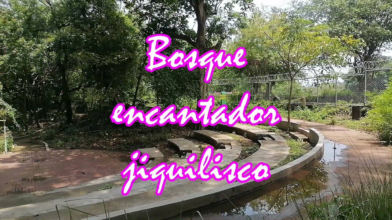 EL bosque encantador Jiquilisco Usulután Venga vamos de tour El