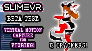 SlimeVR Beta Test: Virtual Motion Capture (VMC) for VTubers + Tutorial! (13 Trackers)