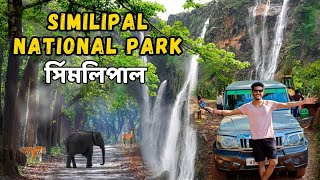 We Visited Similipal Tiger Reserve National Park | Simlipal Forest Safari - Odisha
