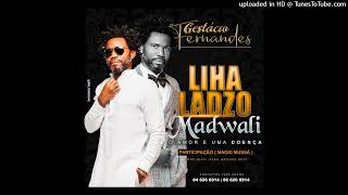 Video thumbnail of "Gestacio Fernandes feat Magid Mussa - Lihaladzo Madwali ( Versao Intro )"