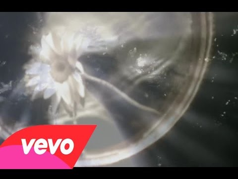 Colonial Cousins - Lady