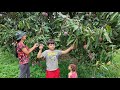 Tour pelas frutiferas do sítio - mais de 36 variedades