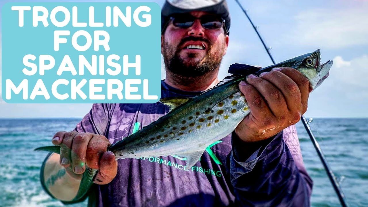 Fishing for Spanish Mackerel on the Potomac River YouTube
