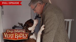 Dogs Behaving Very Badly  Series 2, Episode 7 | Full Episode