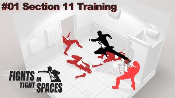 Fights In Tight Spaces Tutorial Gameplay | Section 11 Training (Part 01)