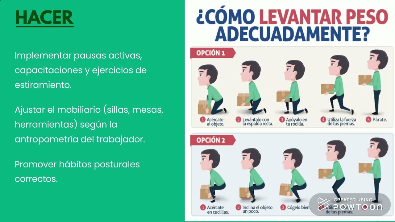 RIESGO ERGONOMICO - CICLO PHVA