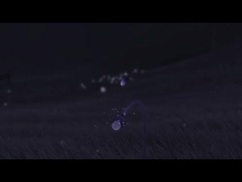 Flower - YouTube KingJeremy77