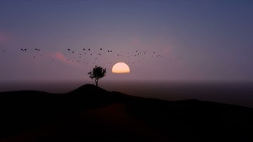 سورة الماعون / أحمد الحذيفي