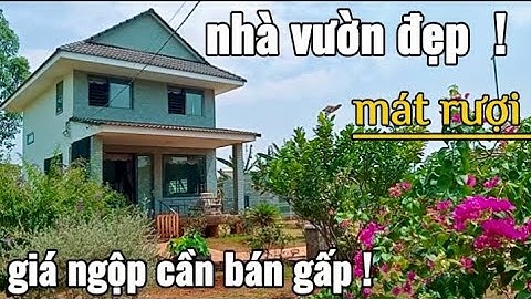( Đã Bán Ak ! ) Nhà Vườn Xum Xuê Trái Cây Quá Ưng = Cả Tâm Huyết Gầy Dựng Đành Bán Tiếc Nuối !#nhada