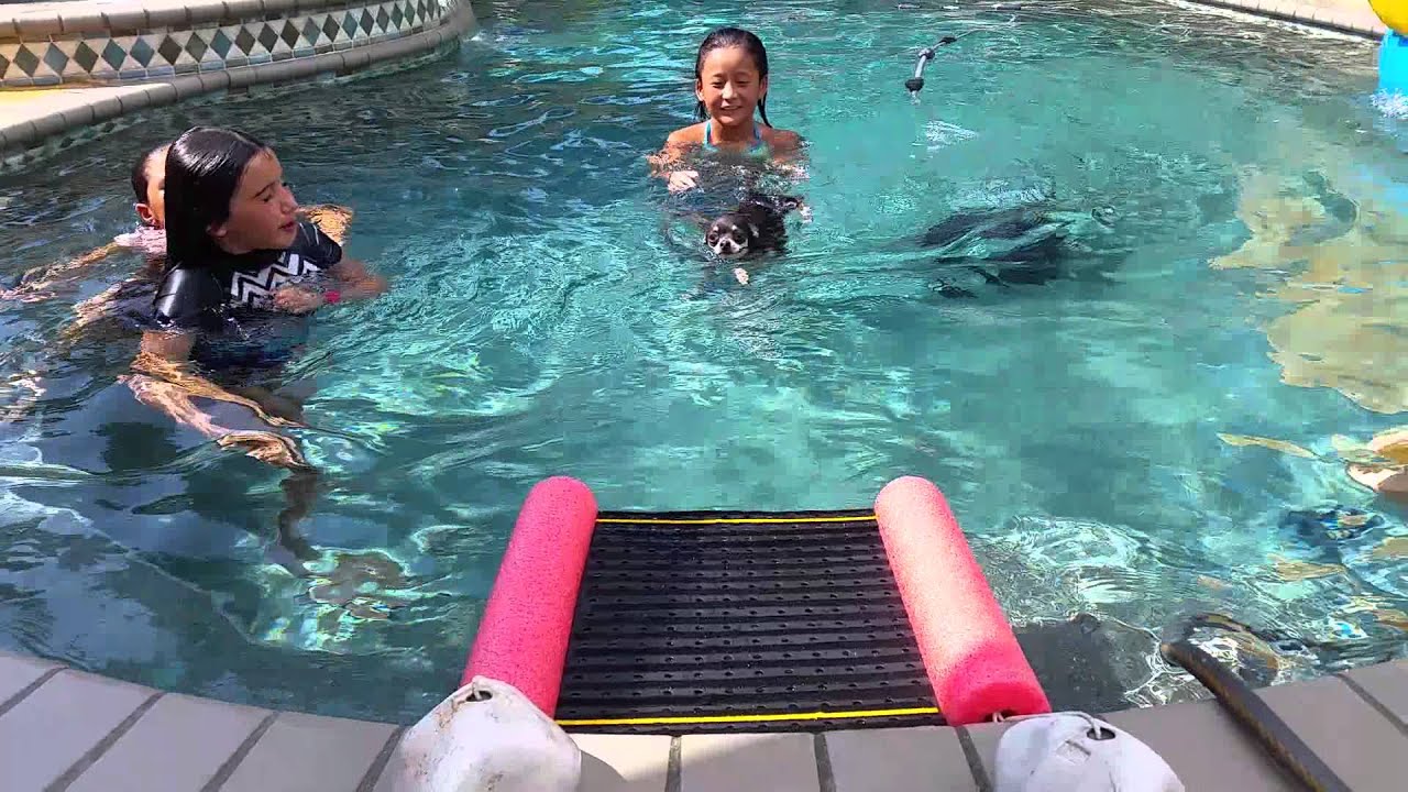 Pet Pool Ramps - Goldenacresdogs.com