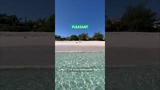 🌴 Paradise found in Ouvéa island Hotel Paradis d’Ouvea! 🏝️ with @anaellechretienoff & @stevenlqr