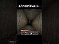 あの穴に落ちてしまった… #マイクラ #short #倍速#undertale