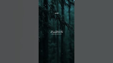 قرآن كريم تلاوة خاشعة من سورة النساء القارئ #ياسر_الدوسري #لايك #حالات_واتس  #القرآن  #القرآن#لايك