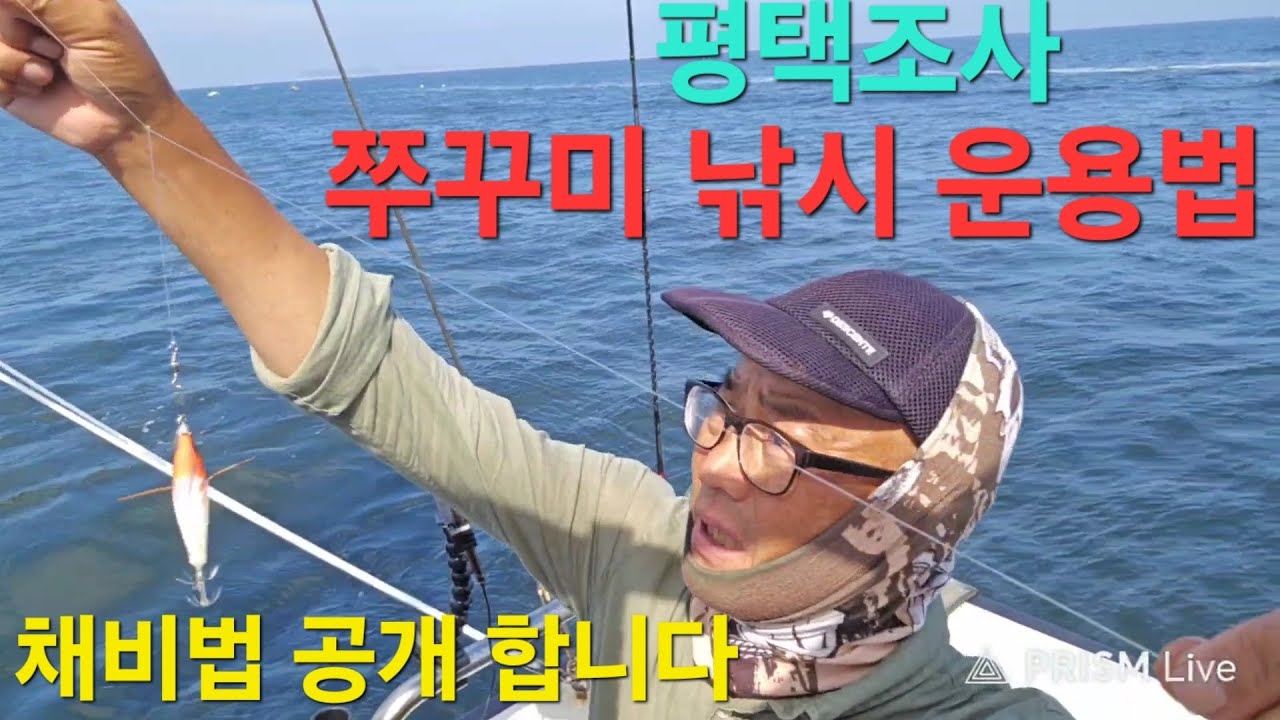 선상 쭈꾸미낚시  들고하는 운용비법 공개 합니다