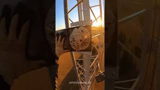 Attacked by a Swarm 50ft Up! (RADIO TECH NIGHTMARE)