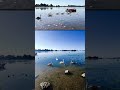 Behind the scenes of my up-and-coming Bosham drone video #amazing #raybanmeta #drone #metaglasses