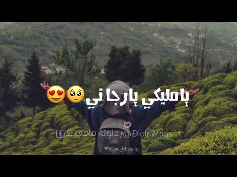 يا رب نور دربي يا رب أسعد قلبي يا مليكي 