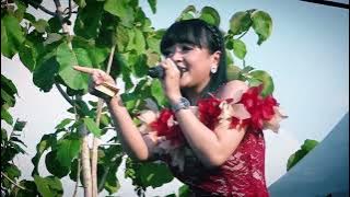 NYANYIAN RINDU || SABILA PERMATA NEW PALLAPA (OFFICIAL LIVE MUSIC)
