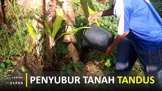 Download lagu Rekayasa Pertanian Tanah Tandus Untuk Kebun Pisang, Agar Tanah Subur Kembali