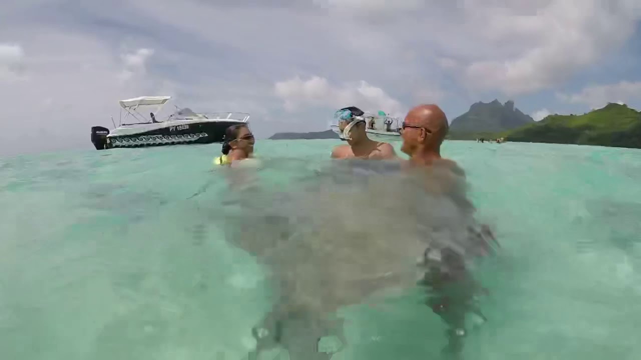 Underwater life in Bora Bora YouTube