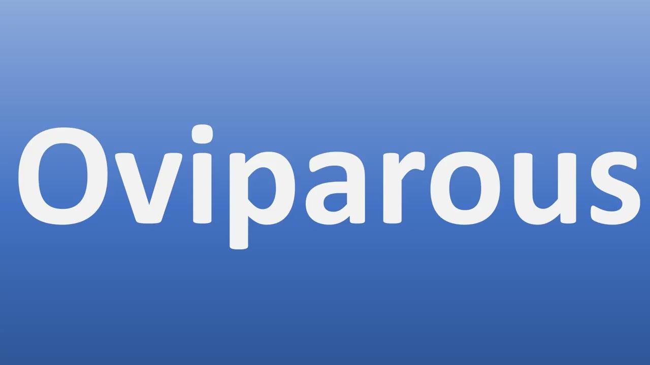 How to Pronounce Oviparous