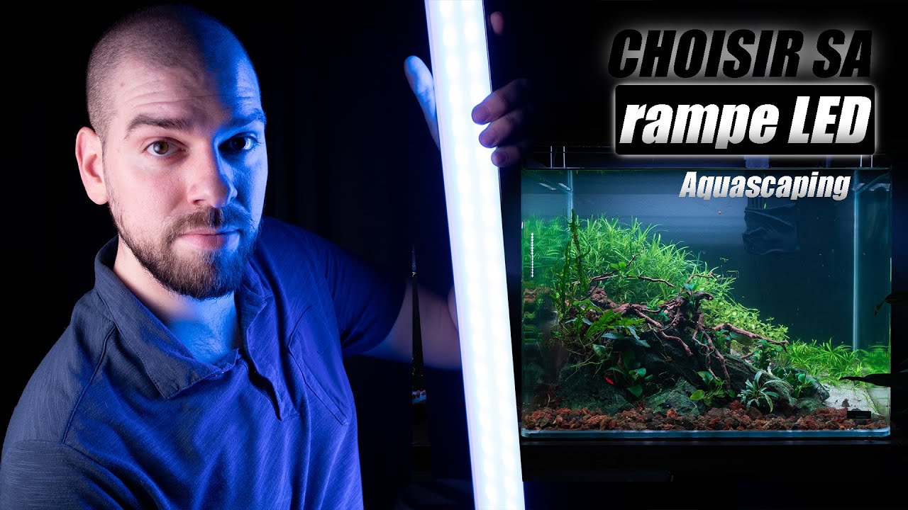 Quel éclairage led choisir pour un aquarium à plantes?