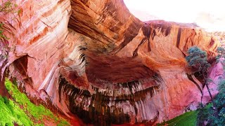 Middle Fork Taylor Creek, Zion NP (7/2/2022)
