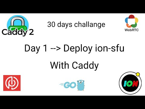 Deploy webrtc ion-sfu on to the cloud with caddy - Day 1