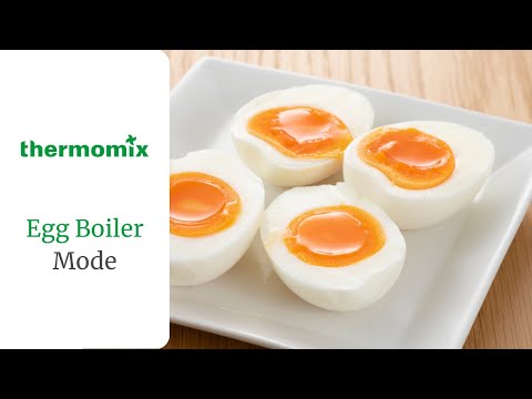Eier Ragout Thermomix