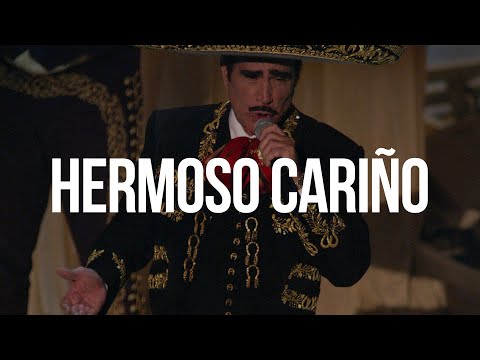 HERMOSO CARIÑO - Vicente Fernández (LETRA)