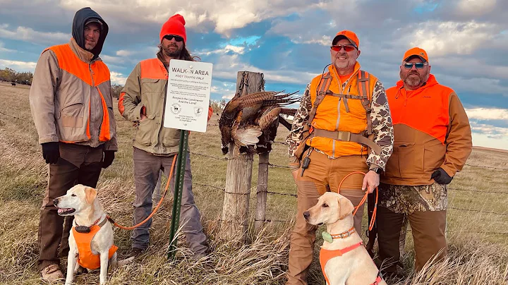 2025 South Dakota public land Pheasant Hunt